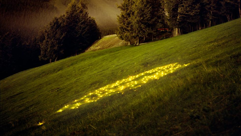 Illustration for article titled What Is The Meaning Of These Strange Glowing Shapes In The Wilderness?